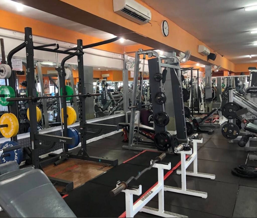 Hammerhead Fitness