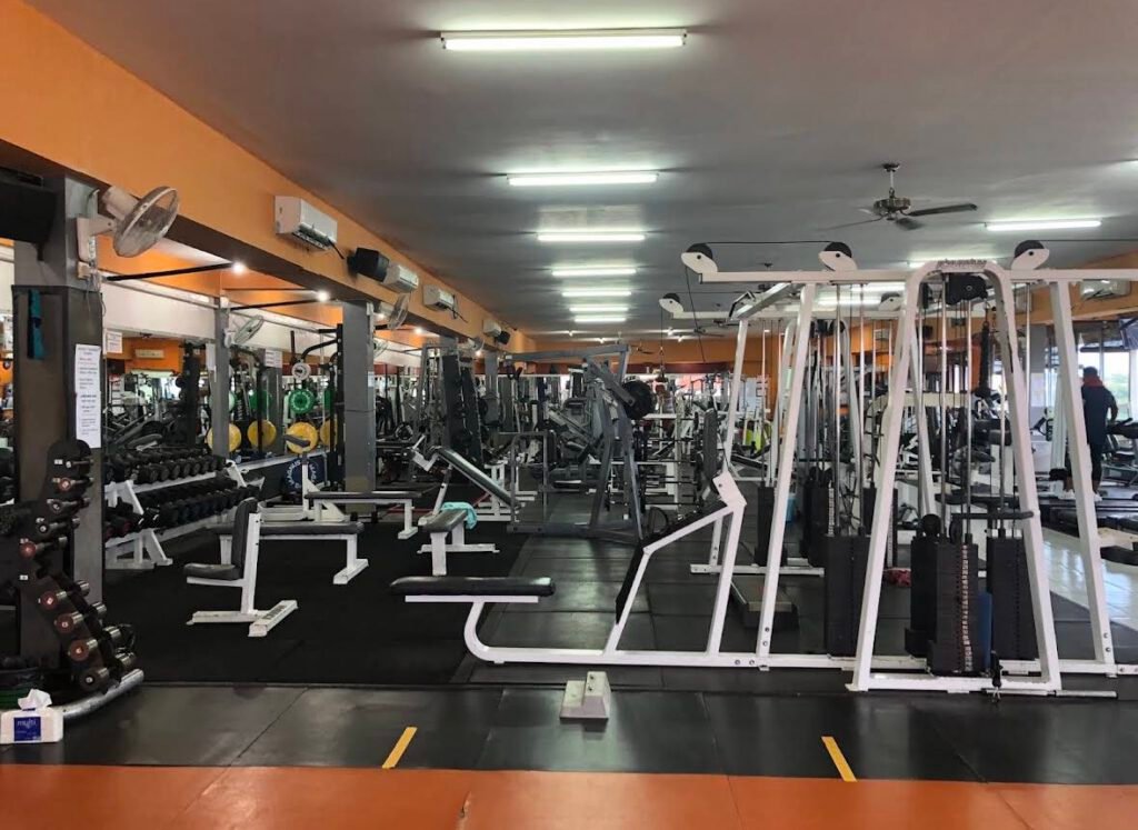 Hammerhead Fitness