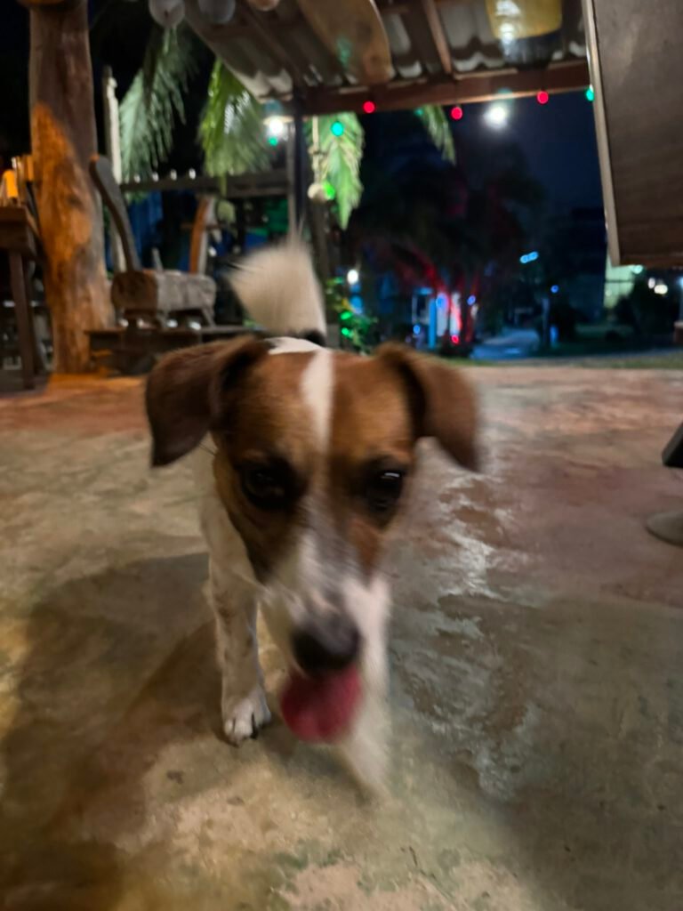 Kata Noi Phuket