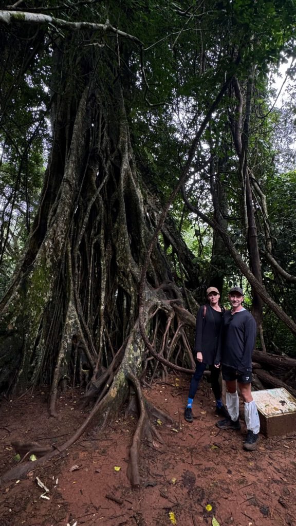 Khao Yai National Park Track 3
