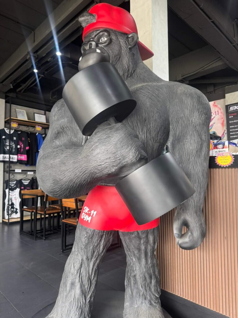 SK-11 Gym Kata Beach Phuket 